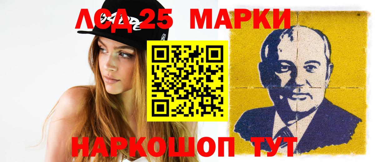 A PVP Бердск