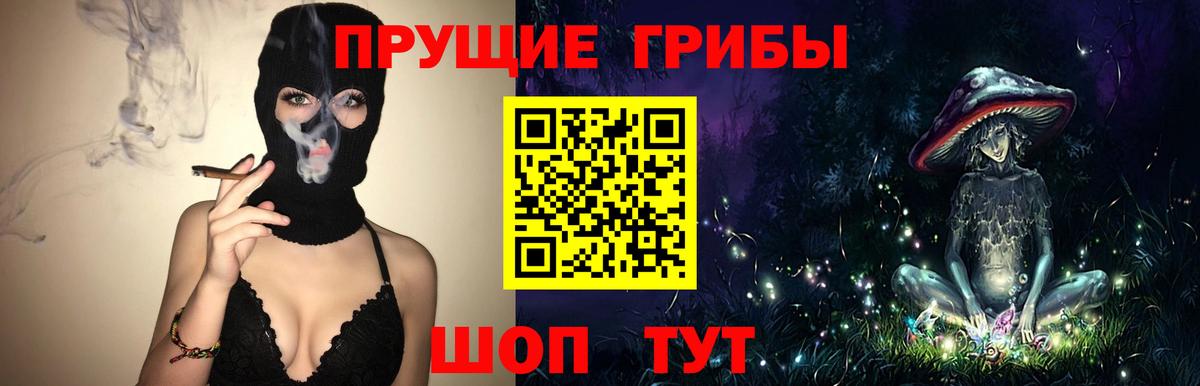 Псилоцибиновые грибы мухоморы  Вход с VPN  где продают наркотики  Галлюциногенные грибы Magic Shrooms  Бердск 