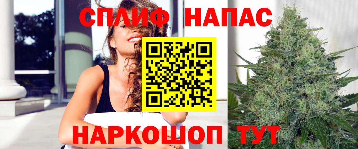 Каннабис план Бердск