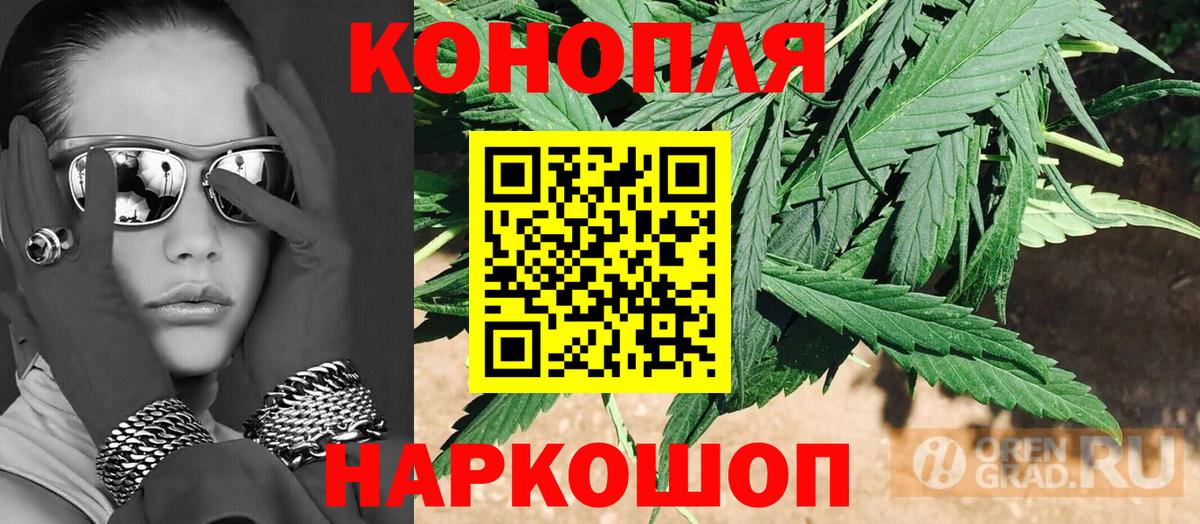 Канабис планчик  Шишки марихуана White Widow  Бердск  Вход с VPN  Каннабис марихуана 